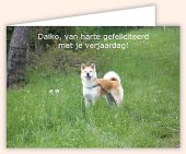 Direct online luxe foto wenskaarten maken en automatisch op tijd per post versturen! Direct online luxe foto wenskaarten maken en automatisch op tijd per post versturen!